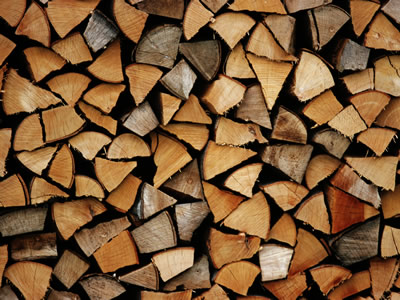 biomass-logs2.jpg